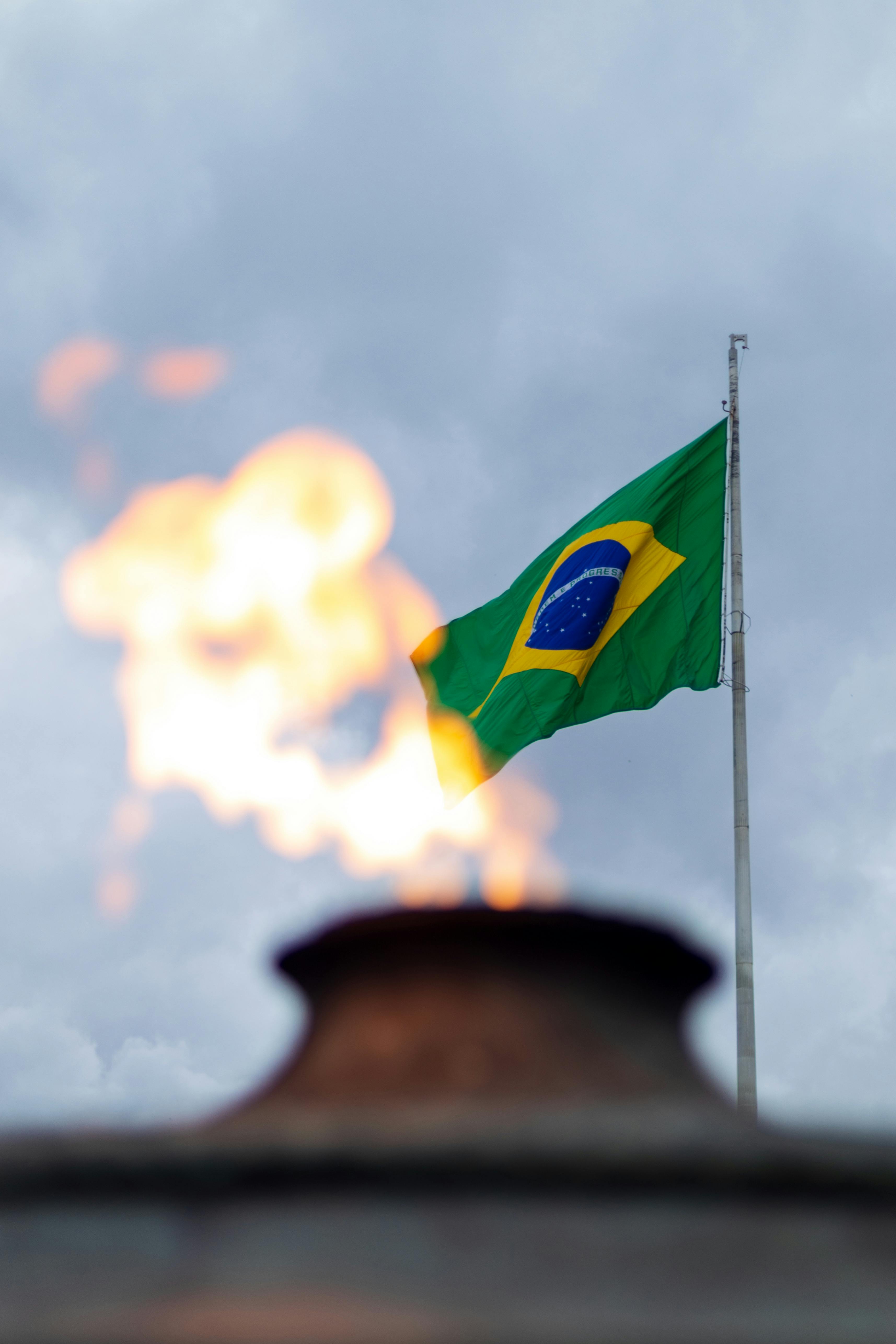 Área agrícola para produtores e investidores