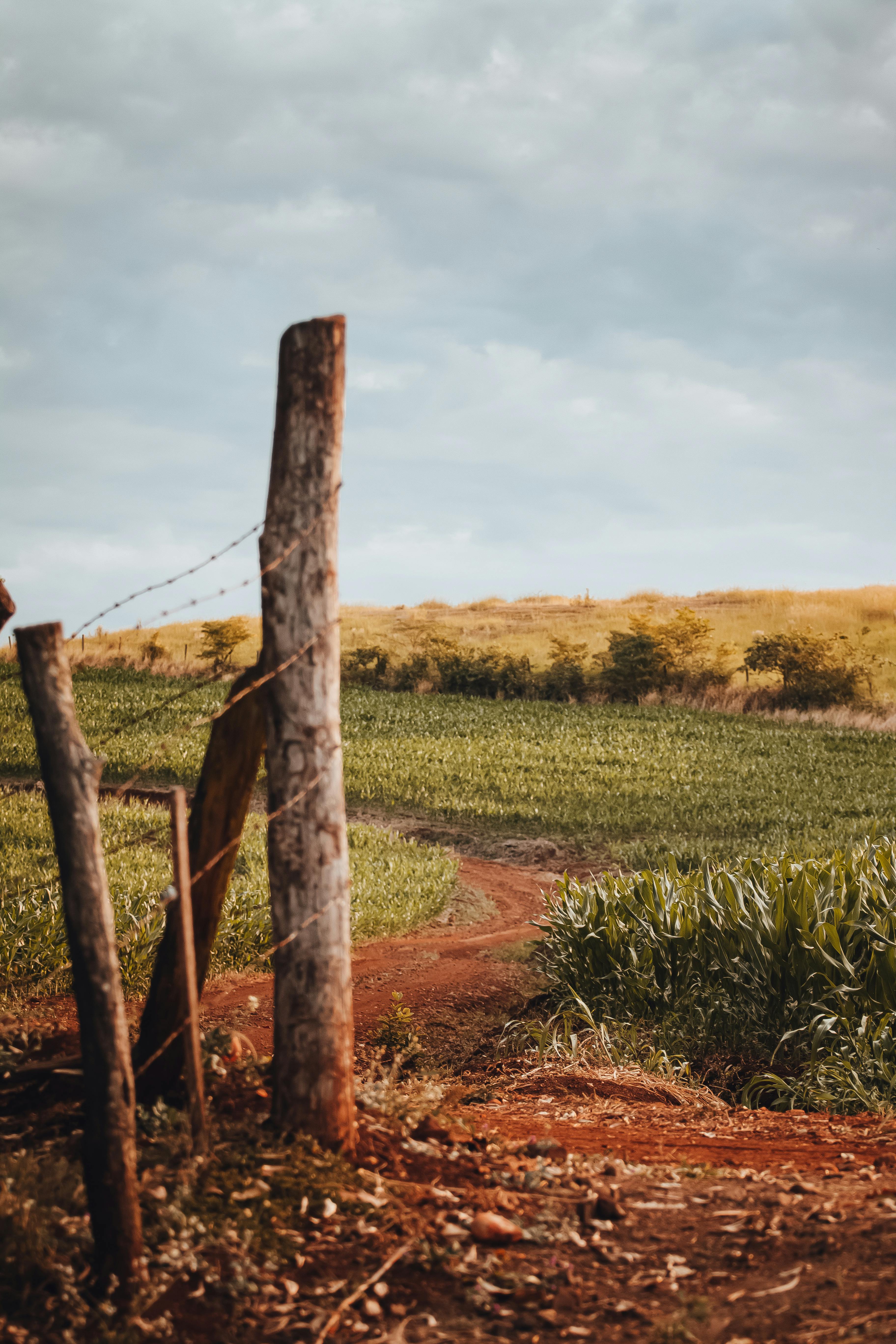 Diagnóstico rural em área agrícola produtiva