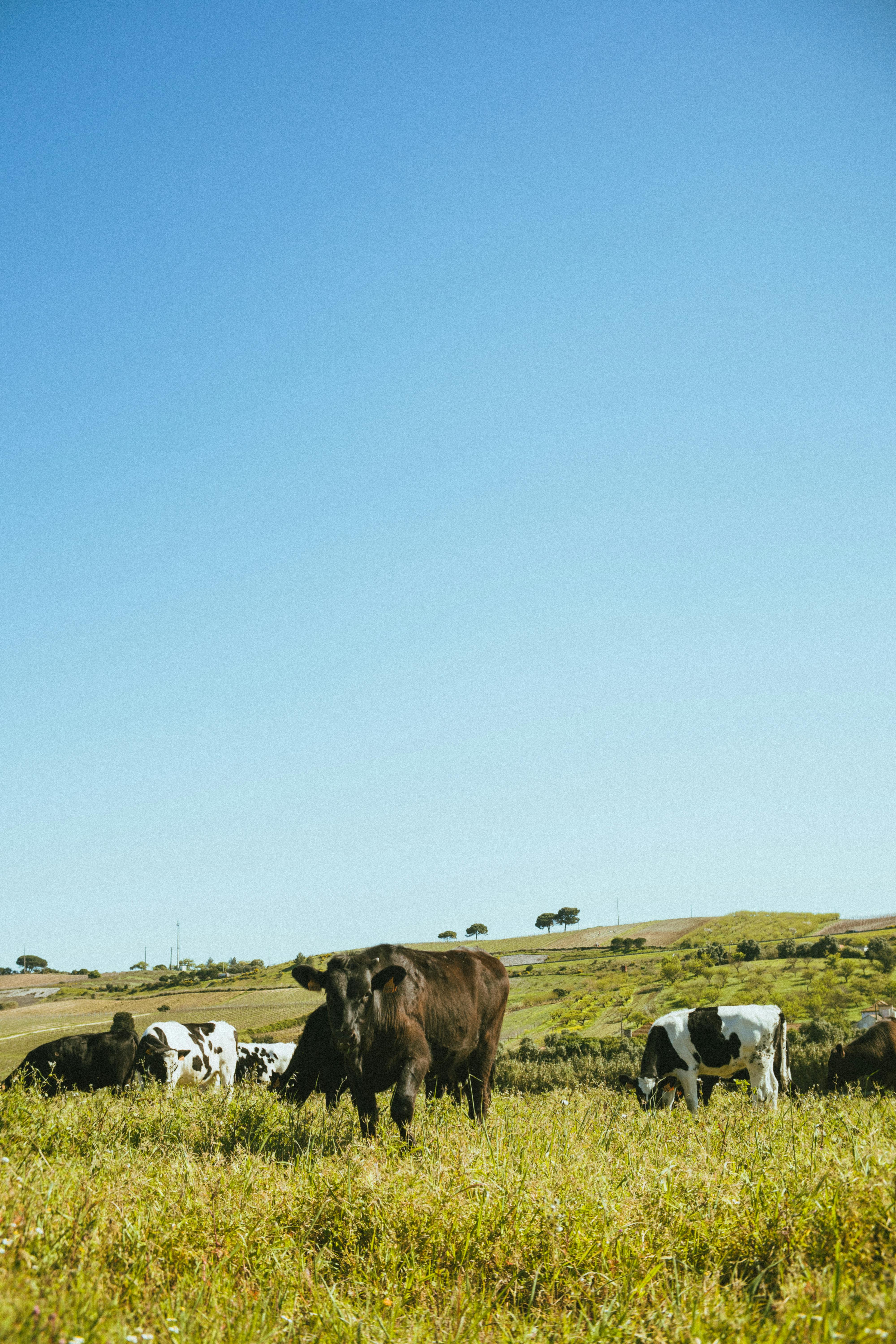 Tecnologia agrícola e monitoramento de lavoura