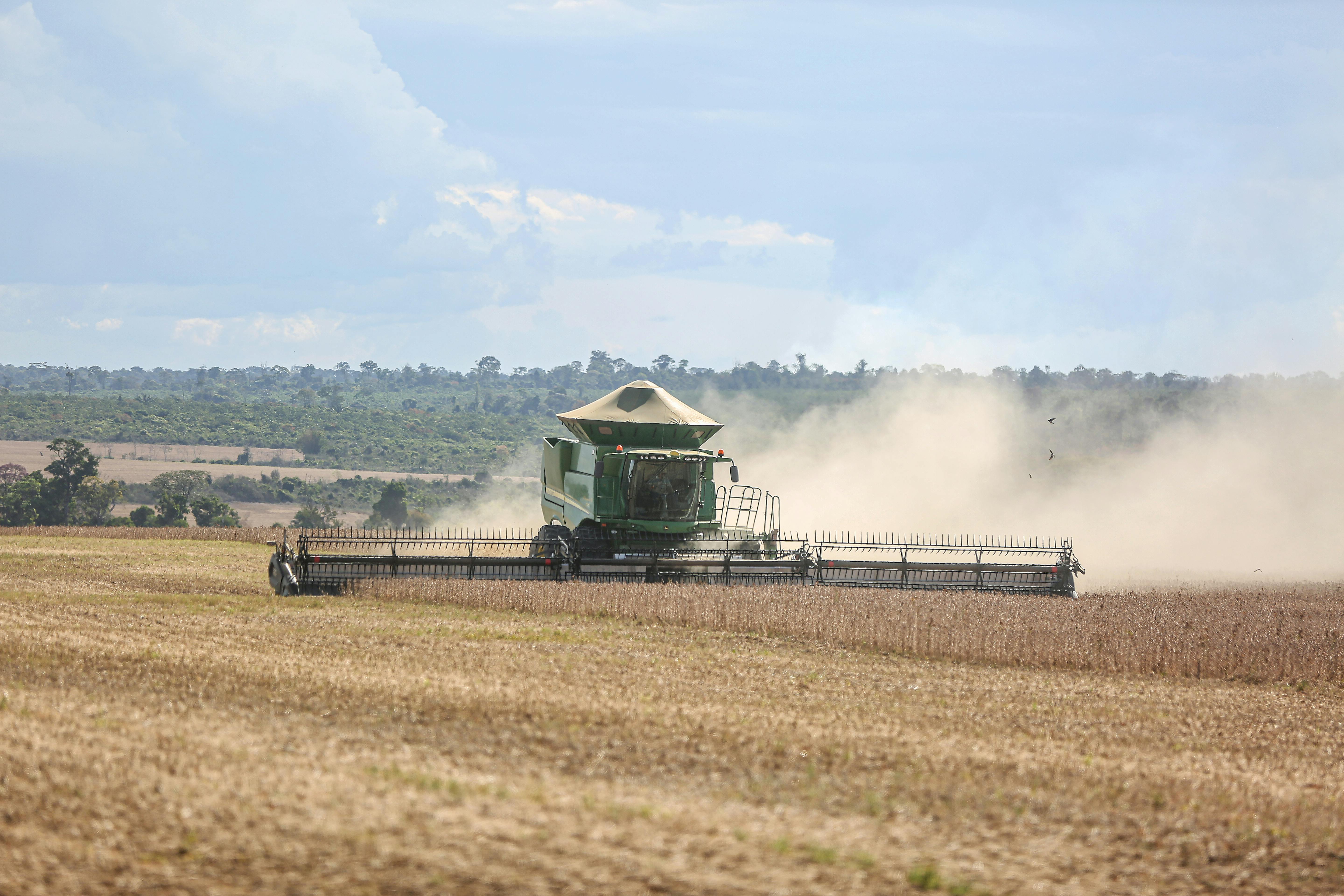 Gestão financeira rural orientada por dados agrícolas