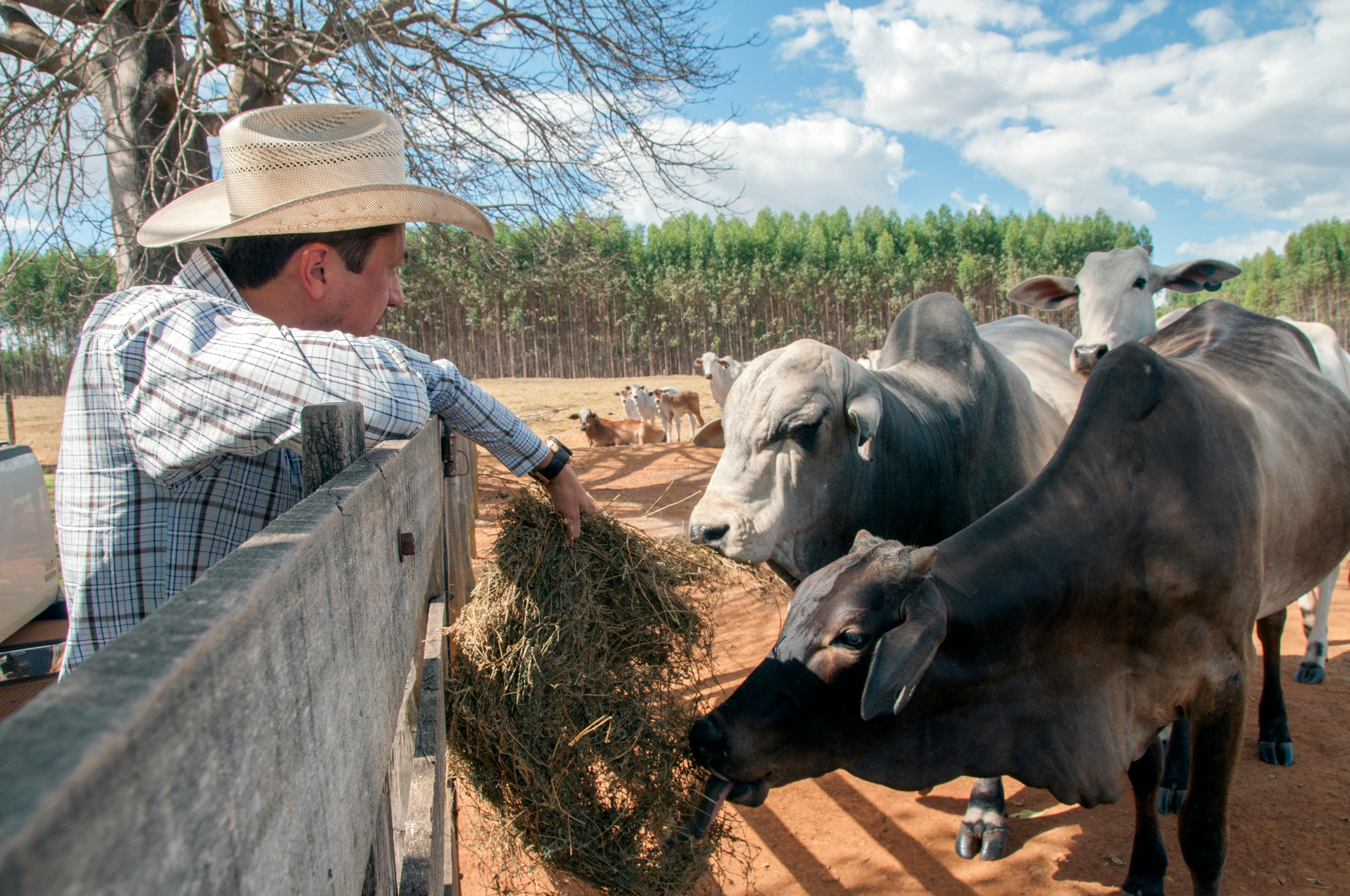 Campo Nobre em operação agrícola no campo